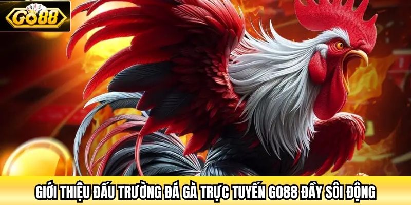 Giới thiệu đấu trường đá gà trực tuyến Go88 đầy sôi động
