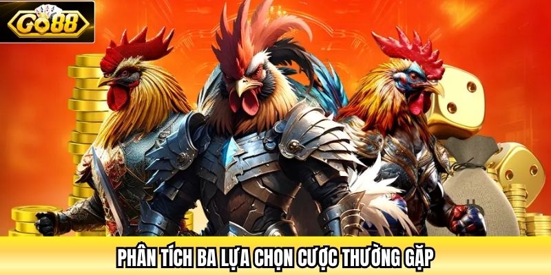 Phân tích ba lựa chọn cược thường gặp